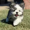 Kevin Babb - @kevin.babb6 - TikTok