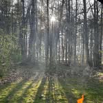 Kevin Batchelder - @kevin.batchelder - Instagram