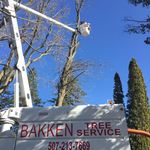 Kevin Bakken - @suzukimxman - Instagram