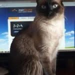 Kevin Bancroft - @fmschoolkevinb - Instagram