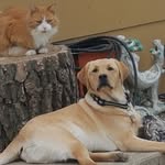 Kevin Bancroft - @kevin_bancroft1 - Instagram