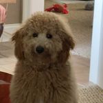 winston raye kevin banh - @winstongram679 - Instagram