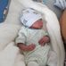 Kevin Baptista - Facebook