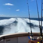 Kevin Barnwell - @napaturkey - Instagram