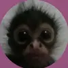 xloxed - @kevinbatress - TikTok