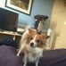 Kevin Baynes - Facebook