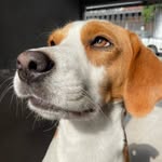 Kevin🩵 - @kevinbeagle_ - Instagram