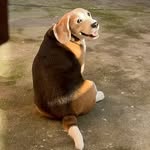 Kevin the Beagle - @kibindbigol - Instagram