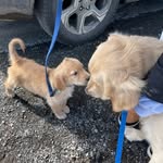 Kevin And Beans Marvin - @kev_and_beans - Instagram