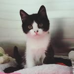 Kevin Beans - @noproblemskevin - Instagram