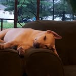 Kevin Beans - @beans8.11.19 - Instagram