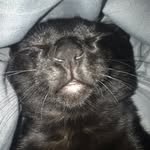 Kevin “bubby” Beans - @craigslist.kev - Instagram