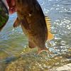 hunting fishing i love lets go - @kevinbellinger0 - TikTok