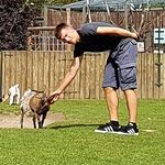Kevin Belling - @kevin.belling - Instagram