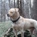 Kevin Bellows - Facebook