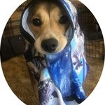 Kevin Bence - @kevin.bence.3979 - Instagram