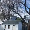 kevin1977 Bergeron - @kevinbergeron943 - TikTok
