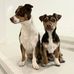 Kevin Beswick - Facebook
