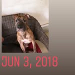 Kevin Bibb - @bibb132 - Instagram