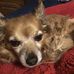 Kevin Berger - Facebook