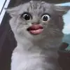 kevinbitara531 - @kevinbitara531 - TikTok