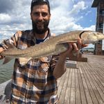 Kevin Blais - @blais3726 - Instagram