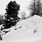 Kevin Blanc - @kevin.blancfreeriding - Instagram