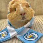 Kevin De Bruyne Blizzard - @kevin_de_bruyne_blizzard - Instagram