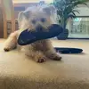 KevsOoakCreations - @kevinblizzard2 - TikTok