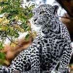 Kevin Bloxham - @bloxham55 - Instagram