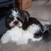 Kevin Bloxham - Facebook