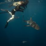 Kevin A Boehm - @kevinboehmmma - Instagram