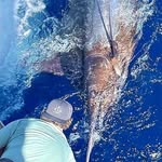 Kevin Bohannon - @kevin_bo.ha.nn.on - Instagram