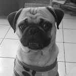 kevin :3 - @kevin_bolanos_ - Instagram
