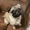 kevinbolanos887 - @kevinbolanos887 - TikTok