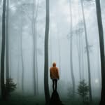 Kevin Bold - @kevinbold2 - Instagram