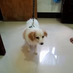 Kevin Borja - Facebook