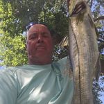 Kevin Bourque - @bourquesbackhoe - Instagram