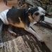 Kevin Bourque - Facebook