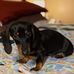Kevin Braley - Facebook