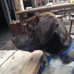Kevin Braley - @kevinb42 - Instagram