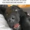 kevinbreck8 - @kevinbreck8 - TikTok
