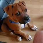 Kevin Breese - @kbreeze72 - Instagram