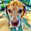 Kevin Brett - @kevin.brett0 - TikTok