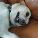 Kevin Brigham - @slkpmp - Instagram