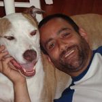 Kevin Brigham - @dogdadkevin - Instagram
