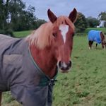 Kevin Brindley - @kevin.brindley - Instagram
