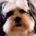 Kevin Brough - Facebook