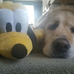 kevin bryce - @kevbryce15 - Instagram