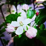 kevin bryce - @kevin_c_bryce - Instagram